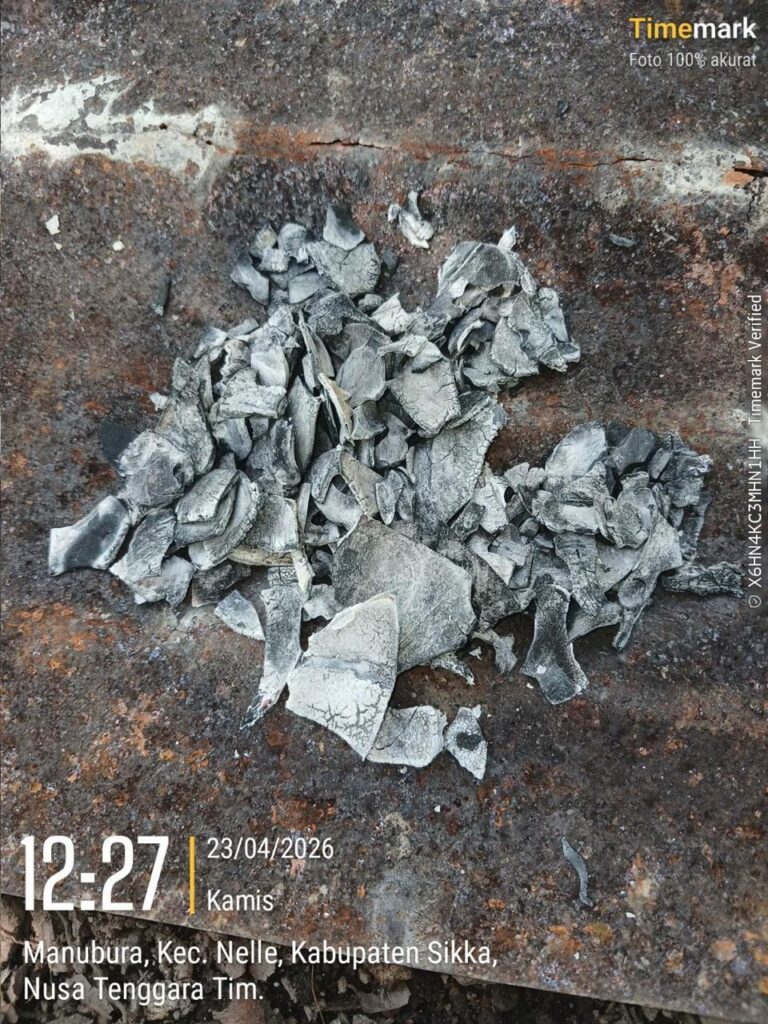 coconut Shell Charcoal Exporter